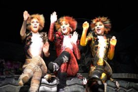Cats - The Musical